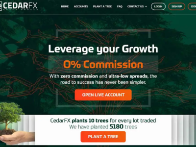 What Is The Cedarfx Minimum Deposit In Trading?