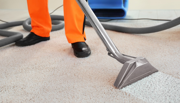 4 Reasons Why Professional Carpet Cleaning Is a Must