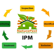 IPM (Integrated Pest Management): A Holistic Approach to Pest Control
