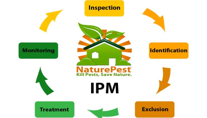 IPM (Integrated Pest Management): A Holistic Approach to Pest Control